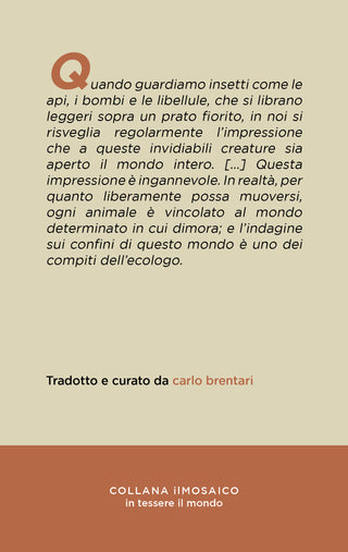 Teoria del significato