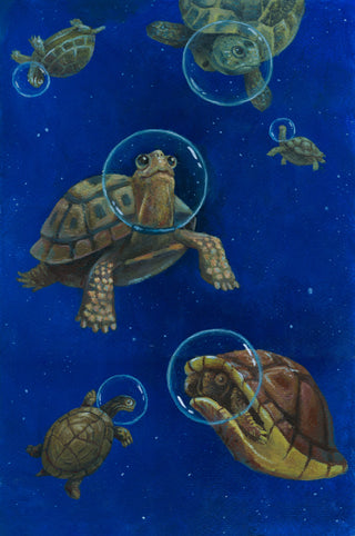 Tartarughine (quadernino d'artista)